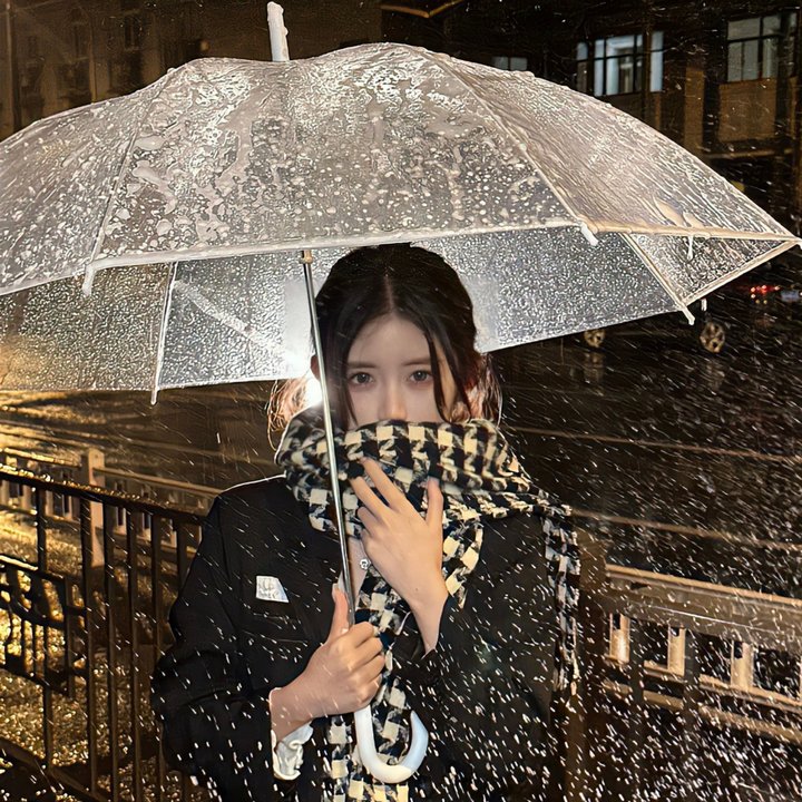 假面女仆